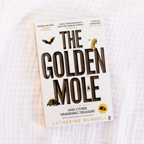 The Golden Mole Quiz