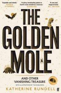 Golden-Mole.jpg